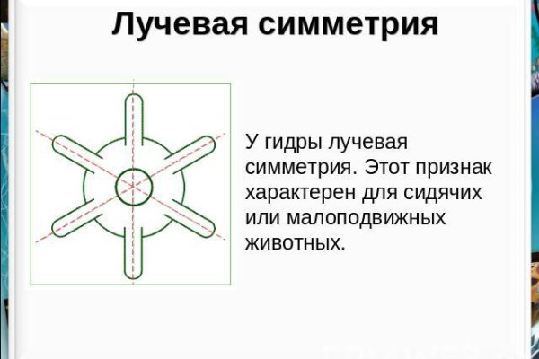 Кракен ты знаешь где покупать