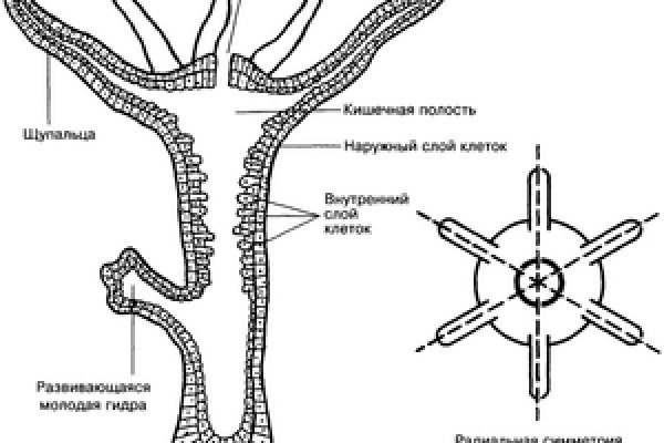 Кракен дарк