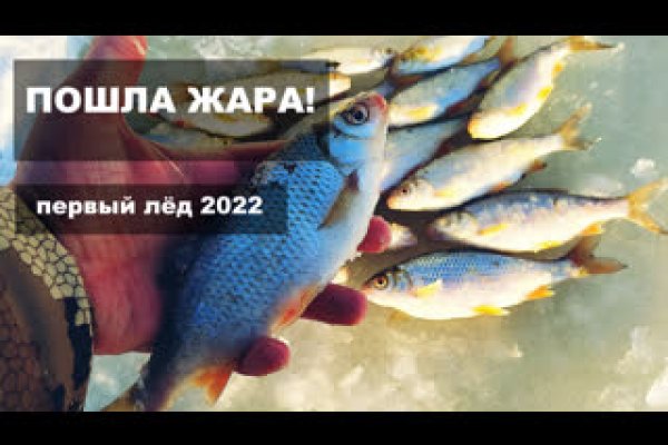 Kraken darknet ссылка тор